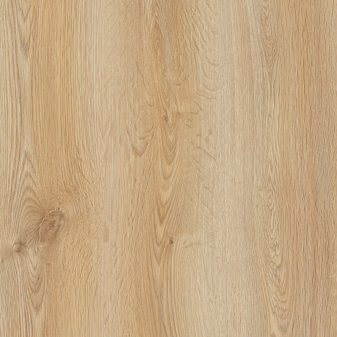 Trend Oak